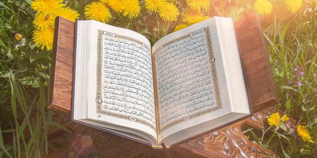 حفظ القرآن للنساء اونلاين